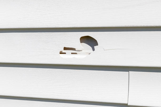 How To Choose The Right Materials for Your Siding Installation in 'Questa, NM