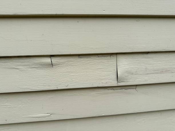 Trusted Questa, NM Siding Installation & Repair Experts